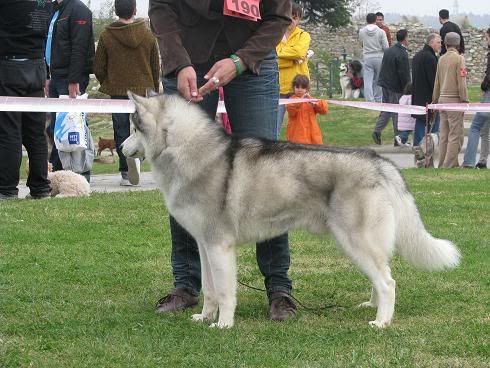 Качена снимка