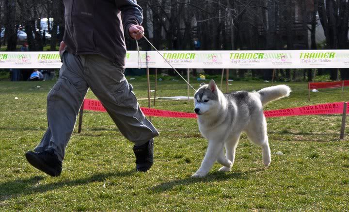 Качена снимка