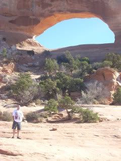 bruce wilson arch