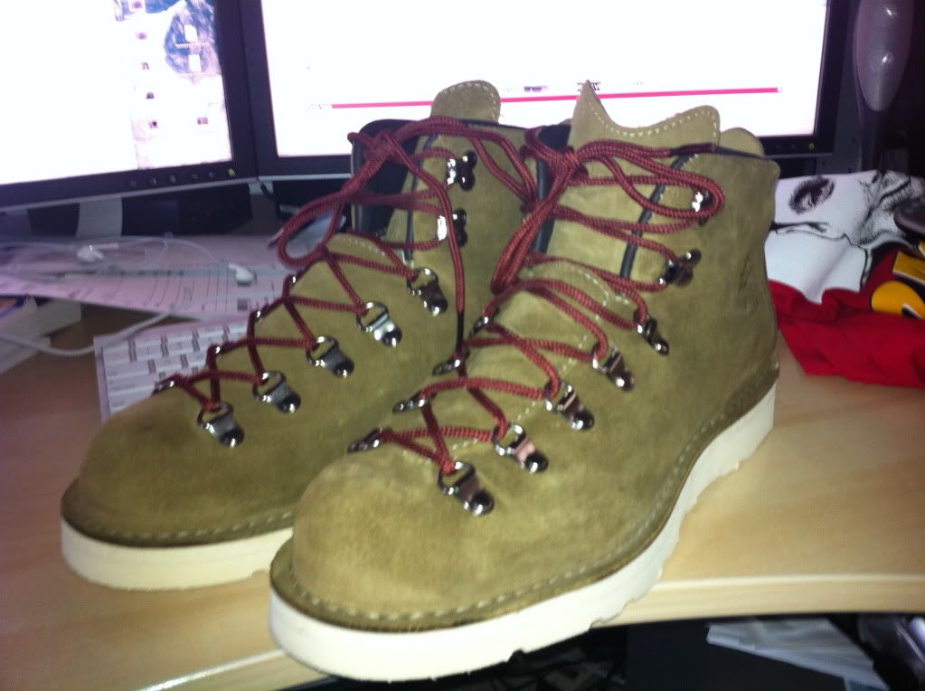 Danner Mountain Boots. FS: Danner mountain light