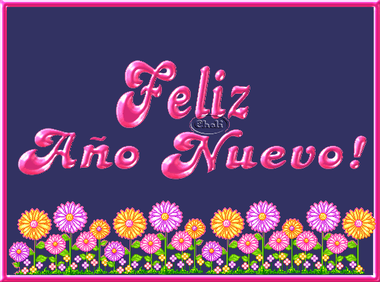 FELIZ ANO NUEVO