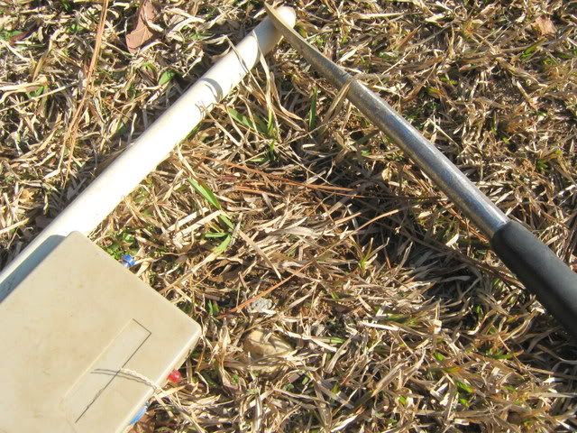 2-20-10.jpg