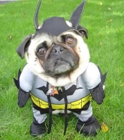 Dogs-3Batman2.jpg