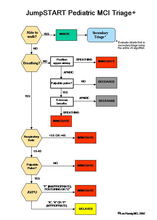 Triase Triage