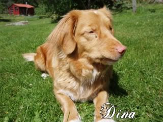 Dina2002.jpg