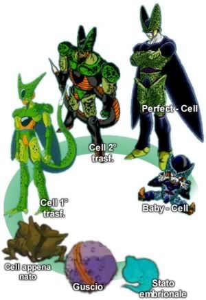 quel insecte est cell