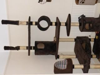DSCF0307.jpg