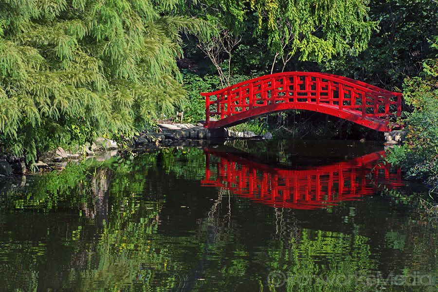 IMAGE: http://i220.photobucket.com/albums/dd39/edacsac/redBridge.jpg