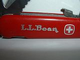 LLBeanScript-3.jpg image by stressmaster5000