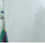 bobo.gif