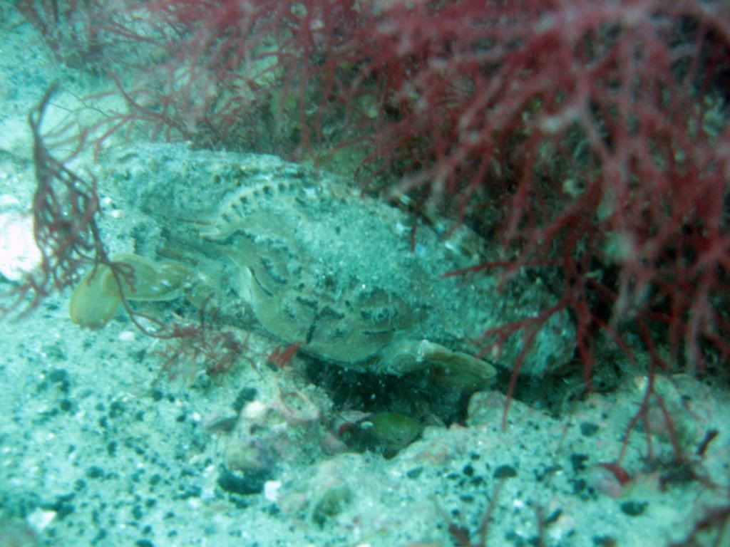 IMG_1266.jpg