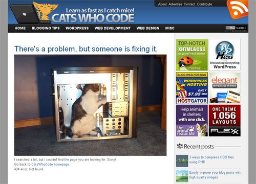 Cats Who Code