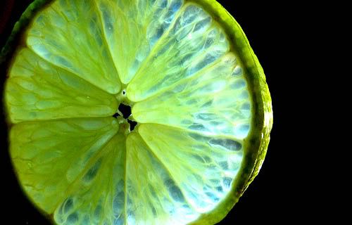 Inner Workings Of A Lime
