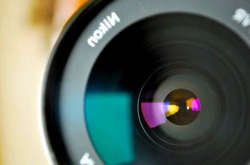 Blue, Purple, Yellow My Lens