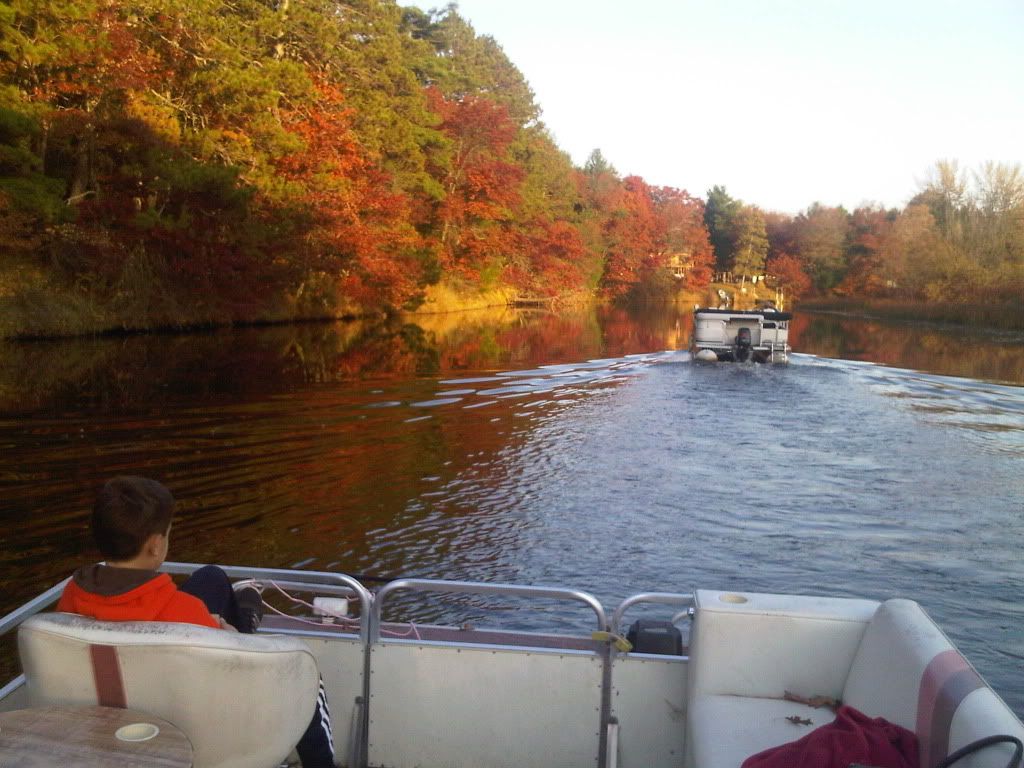 IMG00008-20101009-1732.jpg