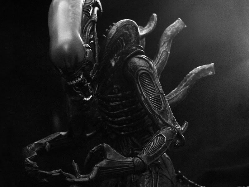 11_09_2007_0538387001189456608_omen.jpg