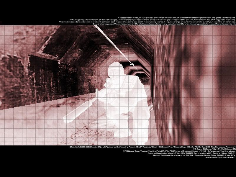 CS_Distortion.jpg