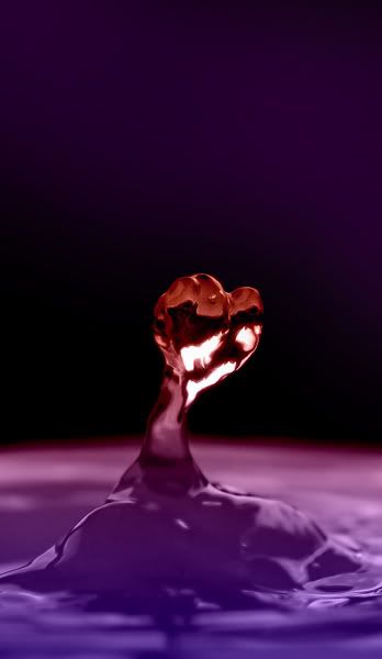 Facing_Love_.jpg