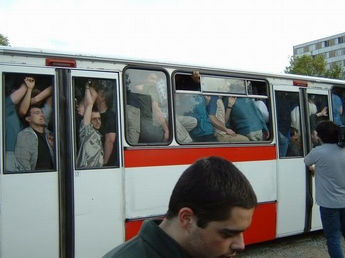 podborka_35.jpg