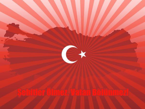 Sehitler_Olmez_Vatan_Bolunmez.jpg