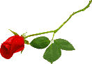 g_rose02.gif