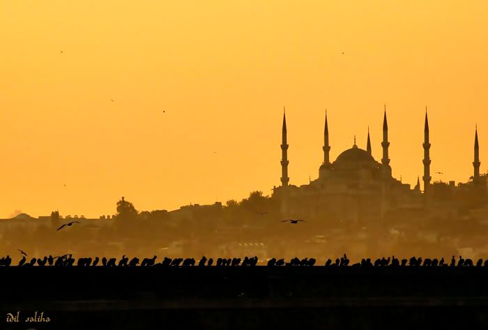 istanbul_67899.jpg