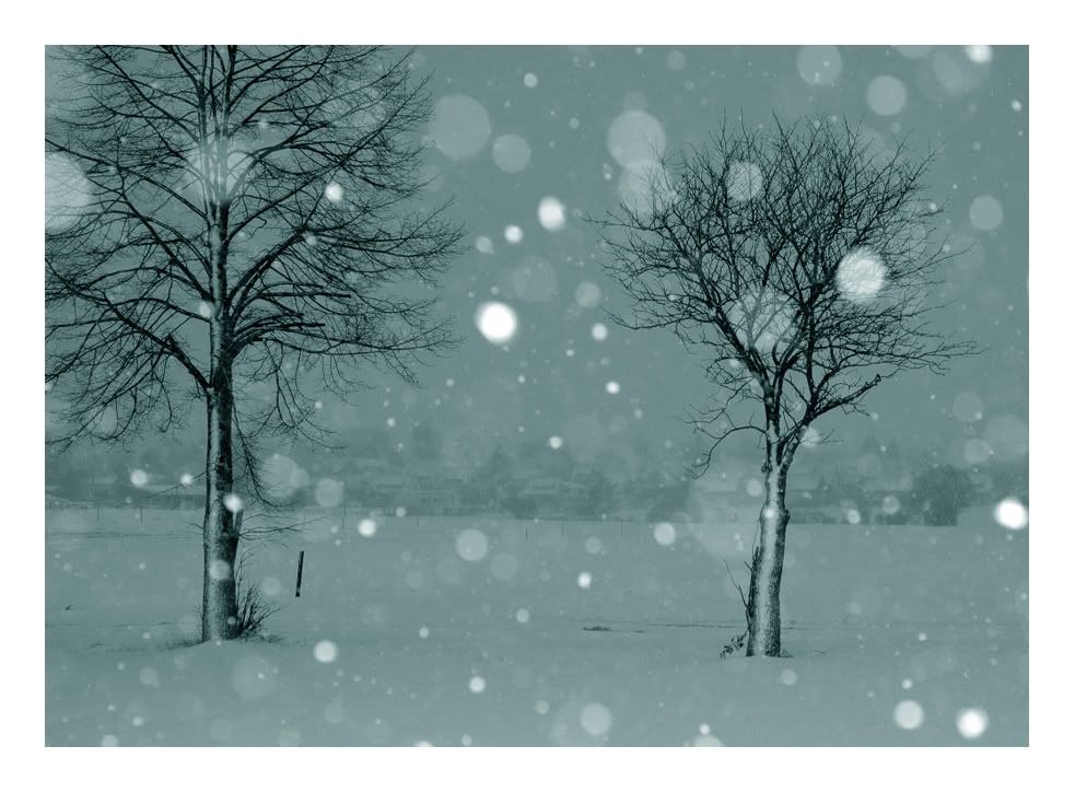 snow.jpg