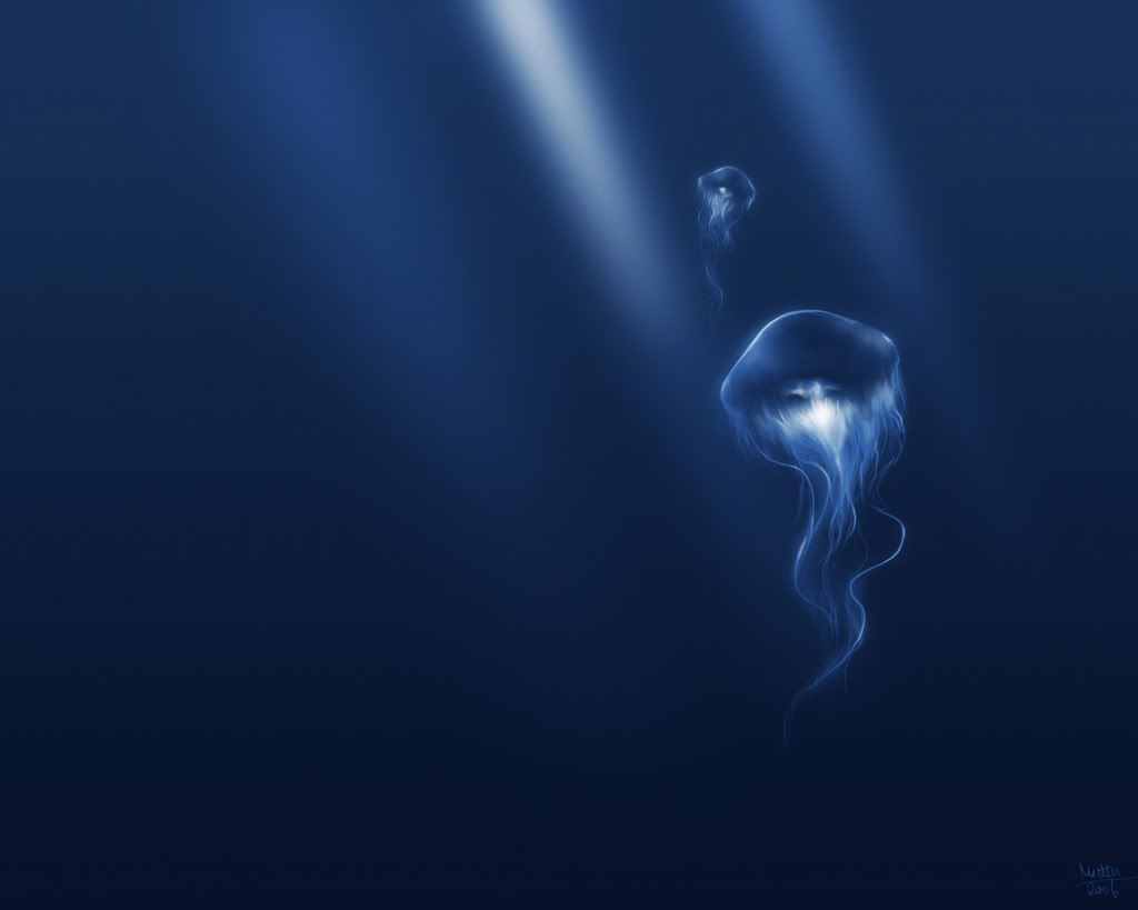 wallpaper15.jpg