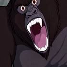 kerchak.jpg