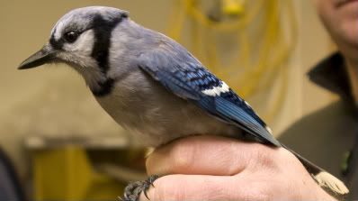 IMAGE: http://i220.photobucket.com/albums/dd9/patlannon/IMG_2140copy-2.jpg