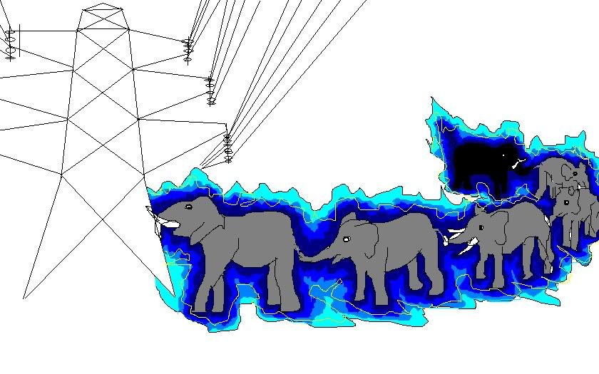 elephants.jpg