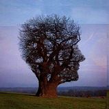 Treehead.jpg image by Samuelbertard