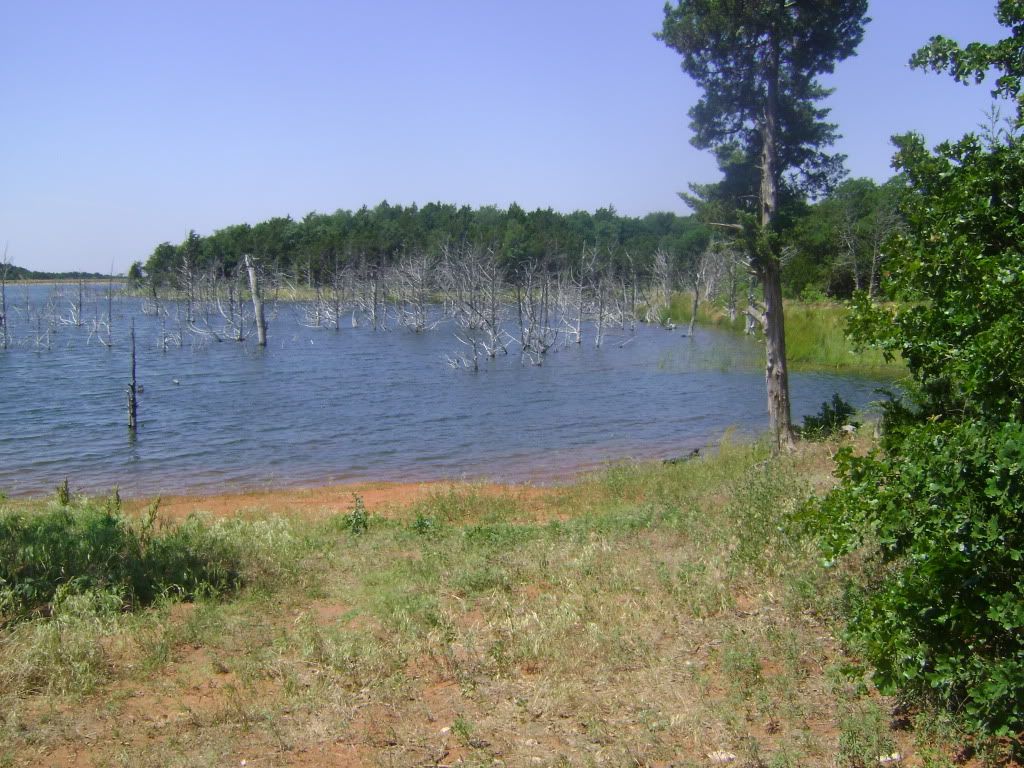 [Linked Image from i220.photobucket.com]