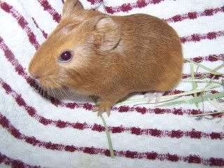 100_8989.jpg