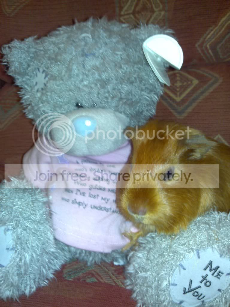 15042010357.jpg