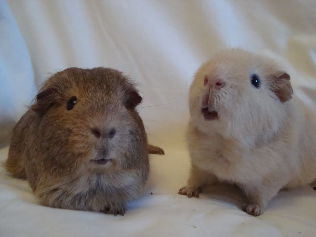 ChocsandJim.jpg