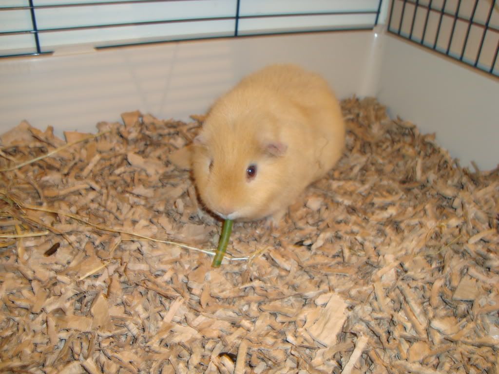 DSC00127.jpg