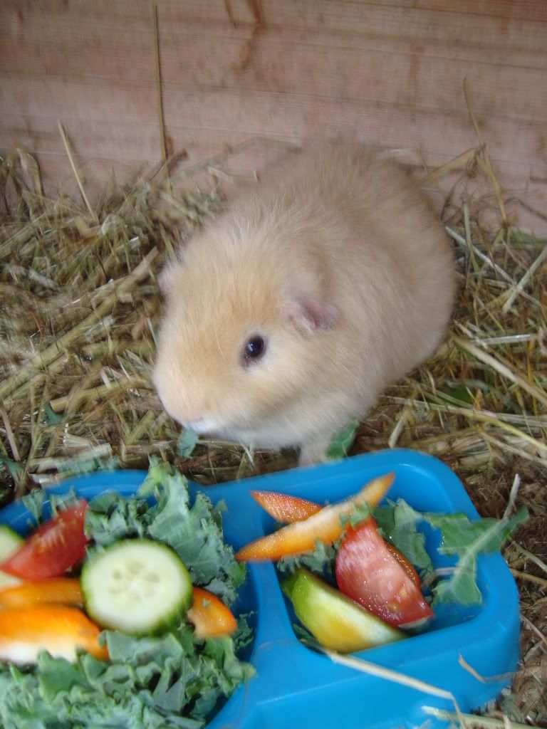 DSC00636.jpg
