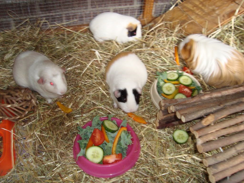 DSC00637.jpg