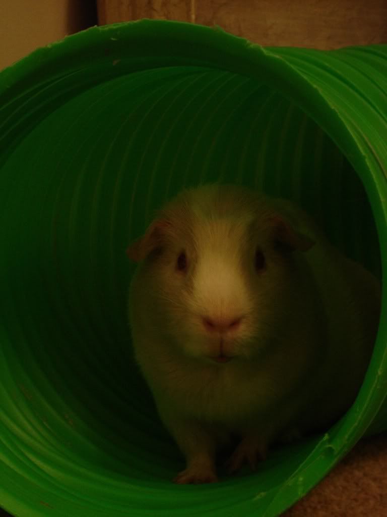 DSC00752.jpg