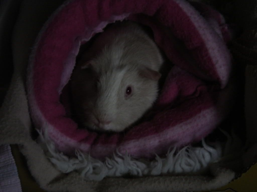 DSC00778.jpg