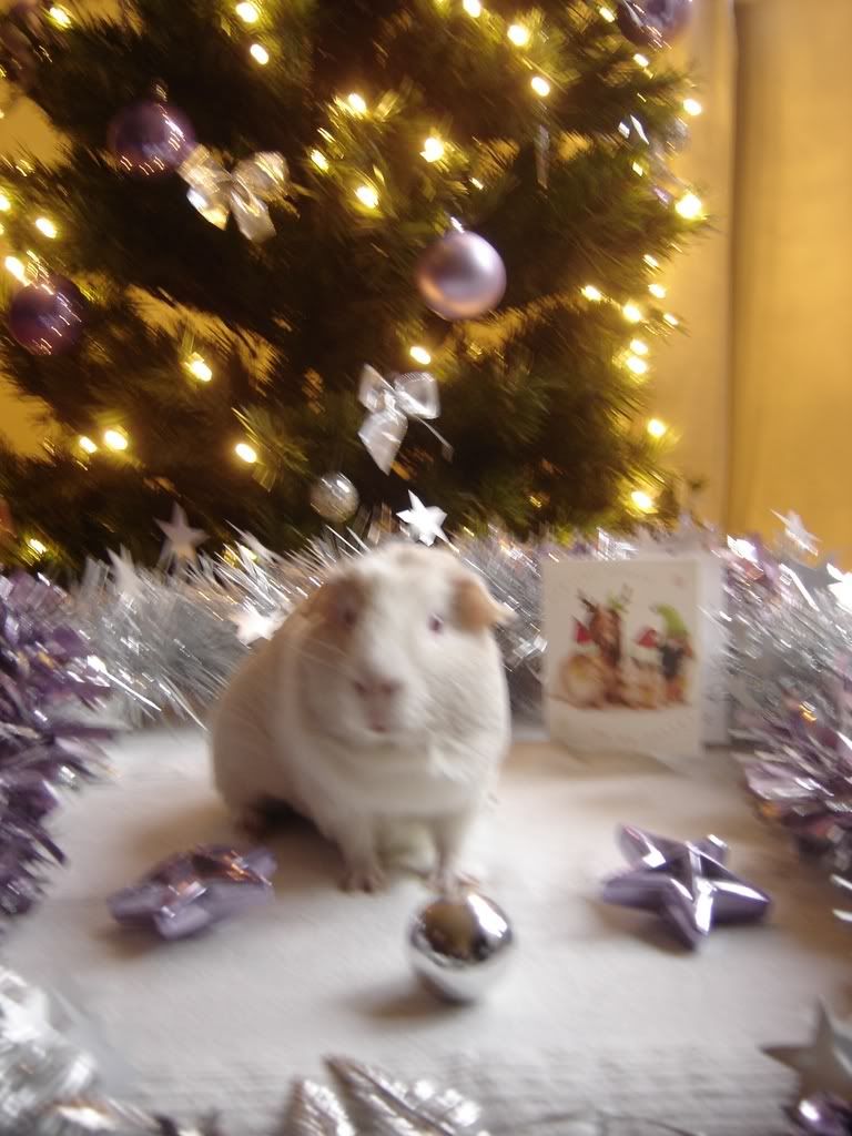 DSC00793.jpg