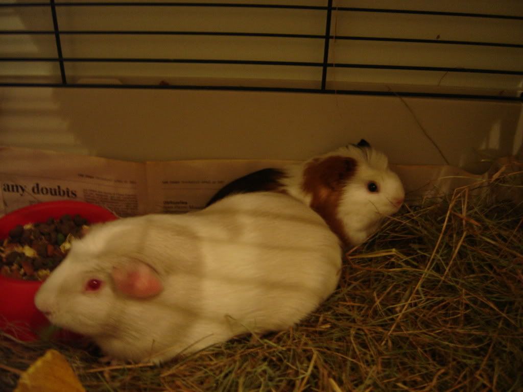 DSC00814.jpg