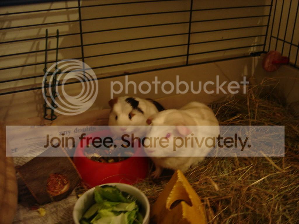 DSC00815.jpg