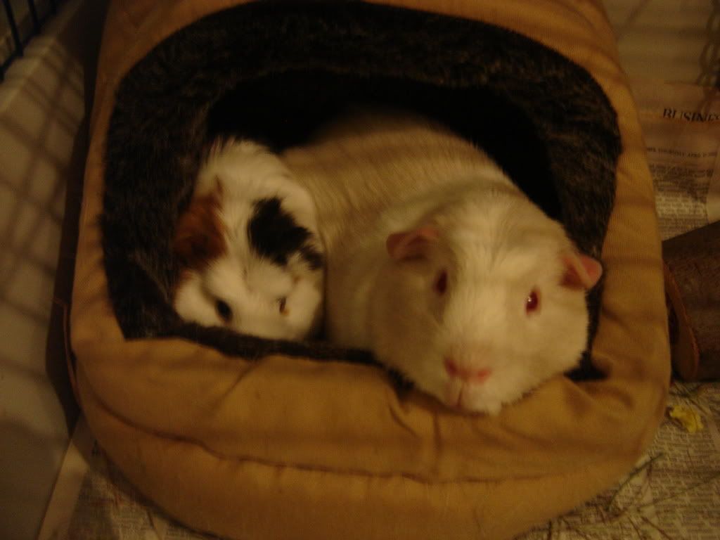 DSC00824.jpg