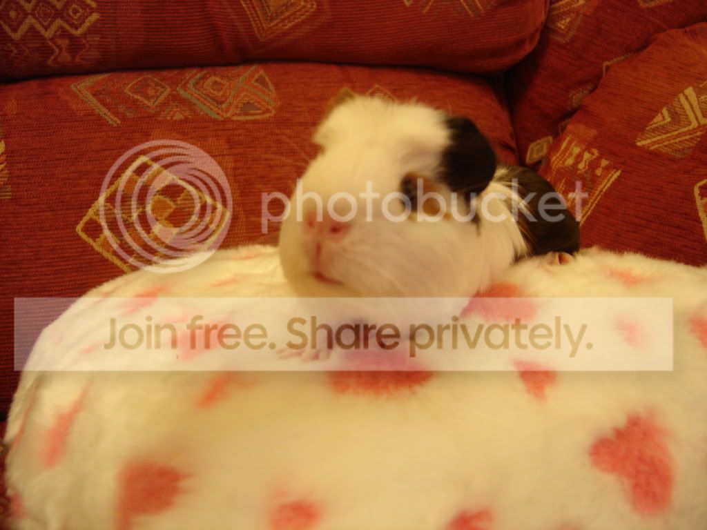 DSC00825.jpg
