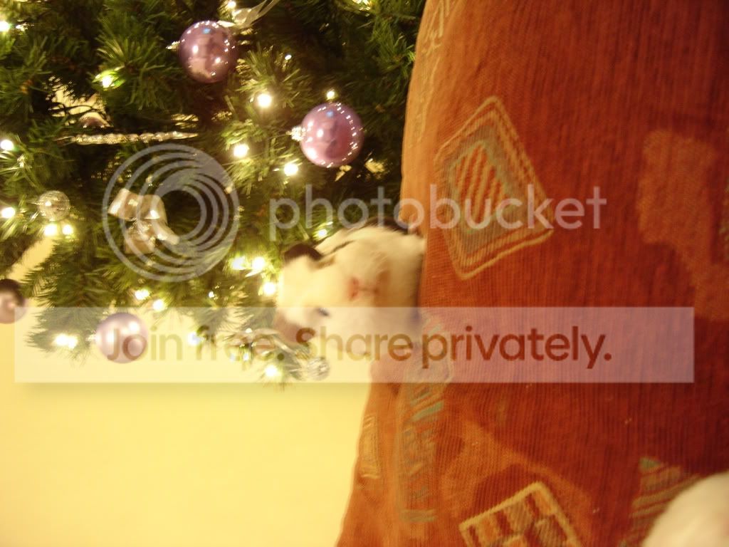 DSC00827.jpg