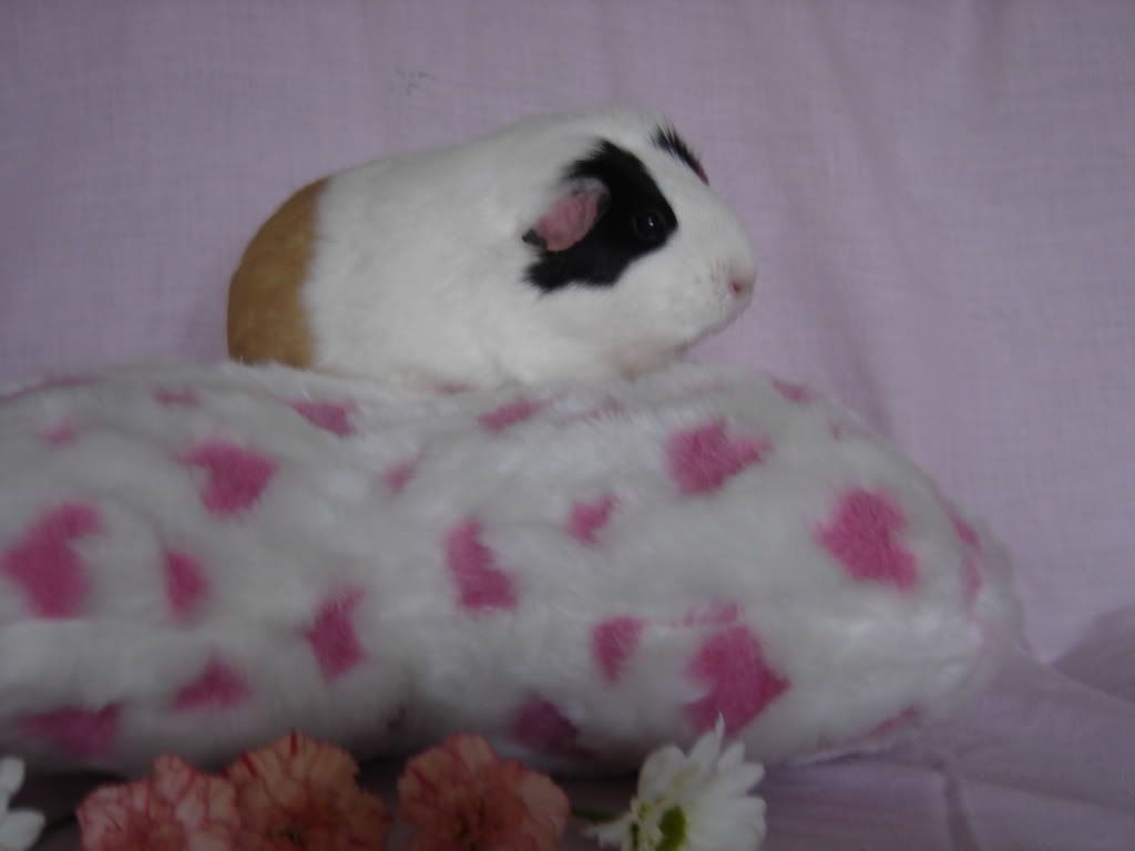 DSC00922.jpg