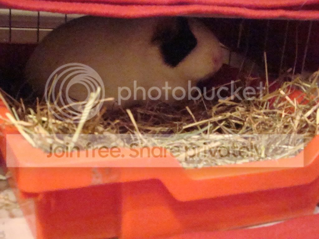 DSC00969.jpg