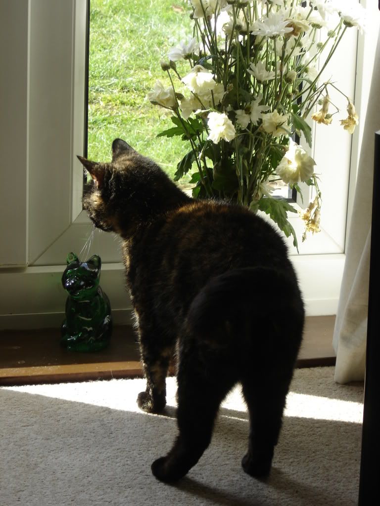 DSC00975.jpg